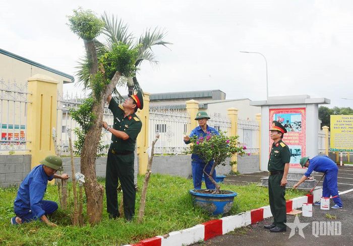Cắt tỉa cây cảnh, thảm cỏ hai bên đường vào Kho J250.