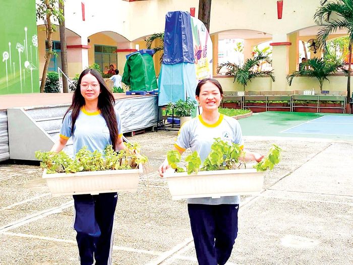 Học sinh Trường THPT Lương Thế Vinh (phường Cầu Ông Lãnh, TPHCM) tham gia hoạt động tình nguyện chăm sóc mảng xanh và không gian xanh tại trường. Ảnh: TRANG THƯ