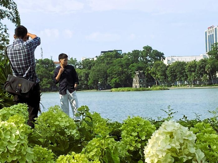 Không gian của hồ Hoàn Kiếm dịu dàng hơn với dải hoa cẩm tú cầu xanh. Ảnh: THU HÀ