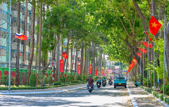 Đường cờ ở khu tập thể nhà ở Liên doanh Việt - Nga Vietsovpetro, phường Tam Thắng, TPHCM