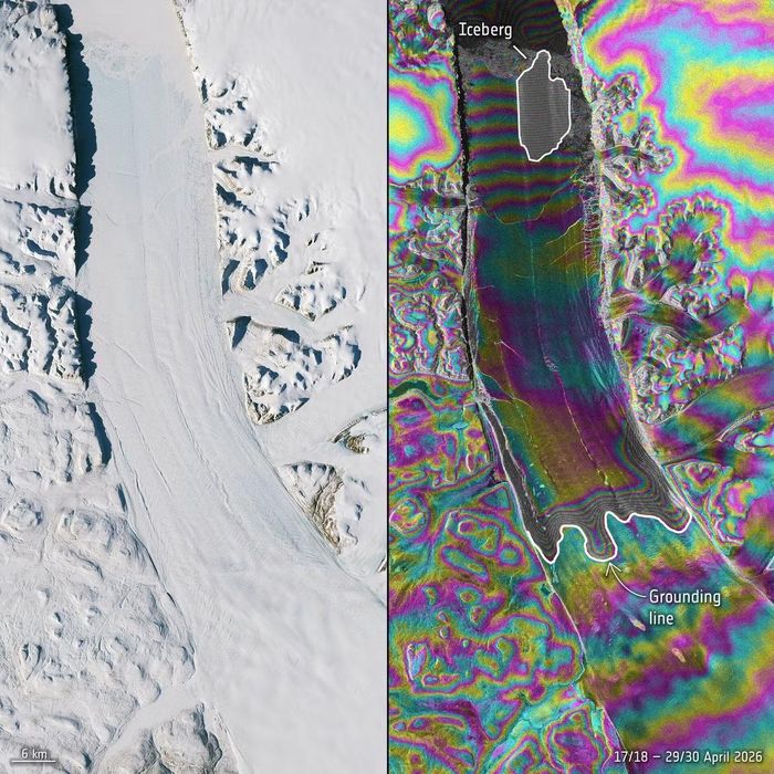 Hình ảnh giao thoa từ vệ tinh Sentinel-1 làm nổi bật các vết nứt trên lưỡi băng Petermann.