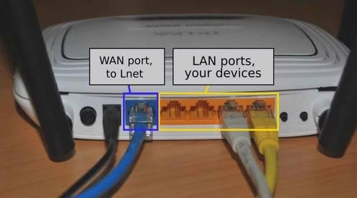 Cổng WAN thường dùng để nhận Internet từ modem, trong khi các cổng LAN kết nối máy tính và thiết bị trong mạng gia đình. 