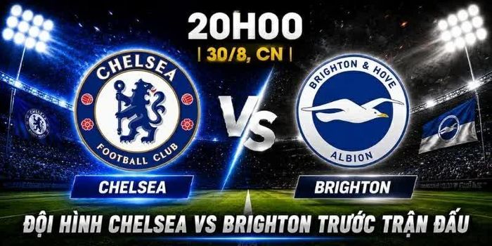 Nhận định, dự đoán trận đấu Chelsea vs Brighton: ‘Chim mòng biển’ tung cánh tại Stamford Bridge. (Nguồn: Socolive)
