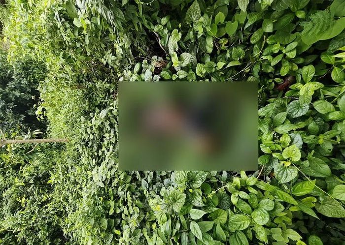 Hiện trường vụ án - Ảnh: Công an tỉnh An Giang.
