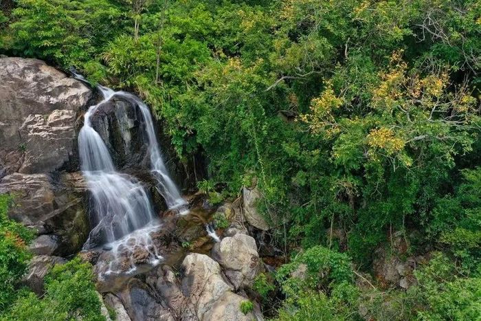 Vườn quốc gia Núi Chúa - Phước Bình có nhiều cảnh quan thiên nhiên đặc sắc. Ảnh: Vườn quốc gia Núi Chúa - Phước Bình.