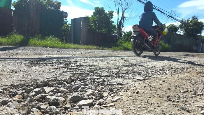 Ông Hoàng Năng Hiệp - Phó Chủ tịch UBND phường Vinh Phú - cho biết, dự án sửa chữa đường Lê Ngọc Hân trước đây do UBND thành phố Vinh (cũ) làm chủ đầu tư. Sau khi thực hiện mô hình chính quyền địa phương 2 cấp, quá trình chuyển giao dự án gặp một số khó khăn. Về công tác giải phóng mặt bằng, hiện vẫn còn một vài hộ dân chưa đồng ý với phương án bồi thường. “Địa phương sẽ tiếp tục làm việc với các hộ dân, tuyên truyền, vận động để bà con thống nhất phương án. Mục tiêu là hoàn thành việc sửa chữa tuyến đường xong trước Tết”, ông Hiệp cho hay.