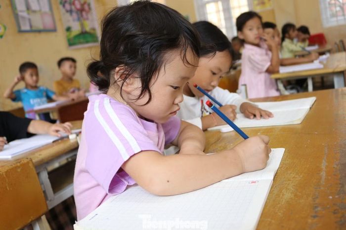 Trao đổi với Báo Tiền Phong, ông Trương Mạnh Cường - Phó Chủ tịch UBND xã Hạnh Phúc cho biết, địa phương đã chỉ đạo các trường rà soát, sửa chữa cơ sở vật chất, chuẩn bị phòng học, thiết bị, sách giáo khoa và bố trí đội ngũ giáo viên. Đồng thời, địa phương cũng đã chỉ đạo bảo đảm an toàn trường học, vệ sinh môi trường, bếp ăn và khu bán trú.