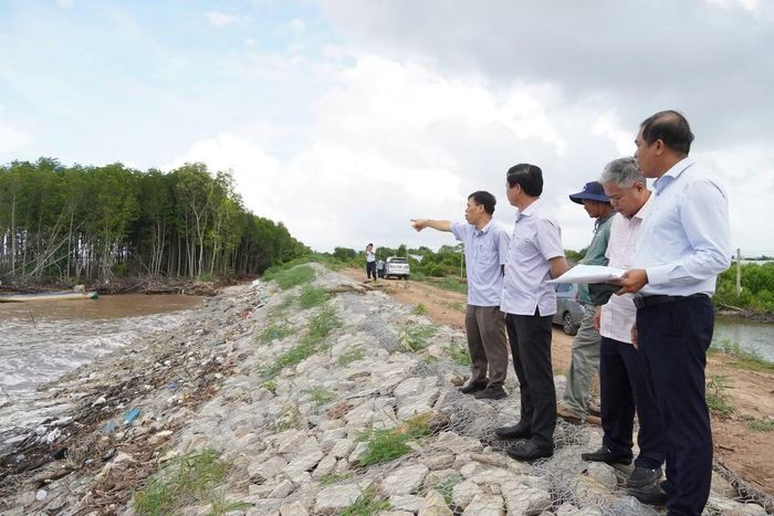 Rừng phòng hộ bờ biển Vĩnh Châu bị sóng đánh tan tành.
