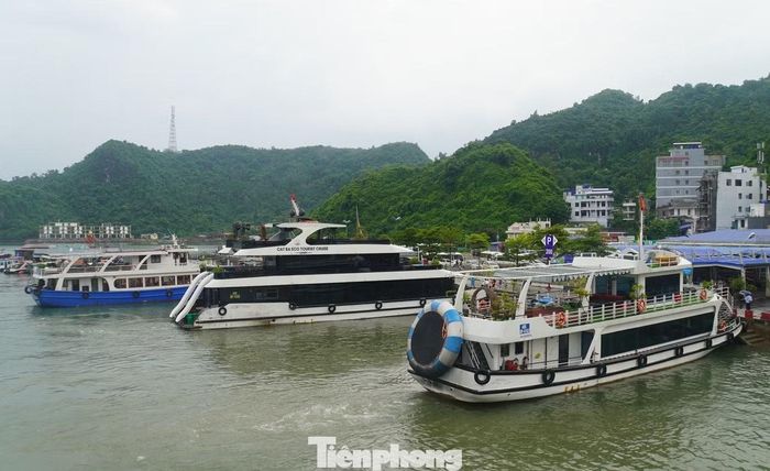 Sau khi tạnh mưa, trời hửng nắng, tàu rời bến chở khách ra vịnh Lan Hạ theo lịch trình.