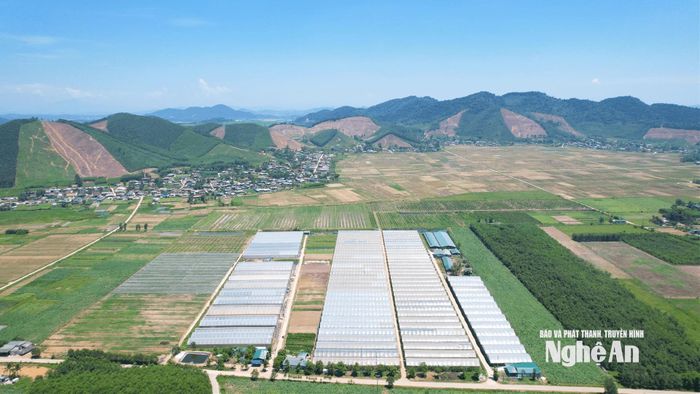 Toàn cảnh trang trại nông nghiệp hữu cơ SunMart+ với công nghệ hiện đại bậc nhất ở Nghệ An. Ảnh: P.V