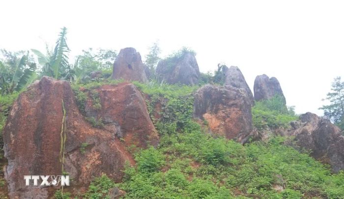 Những cột đá độc đáo trong vườn đá Hoàng Tung, tỉnh Cao Bằng. (Ảnh: Chu Hiệu/TTXVN)