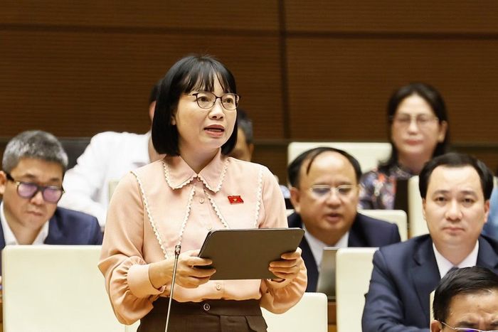 Đại biểu Quốc hội thành phố Hải Phòng Nguyễn Thị Việt Nga phát biểu. (Ảnh: Doãn Tấn/TTXVN)