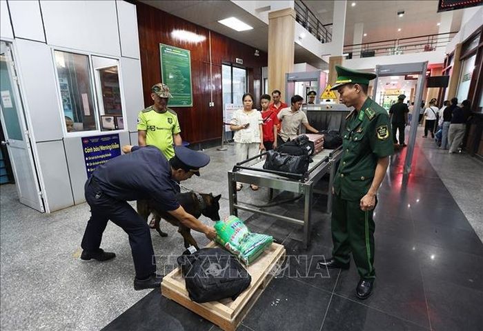 Bộ đội Biên phòng phối hợp cùng Hải quan kiểm tra hành lý khách nhập cảnh. Ảnh minh họa: Vũ Sinh/TTXVN