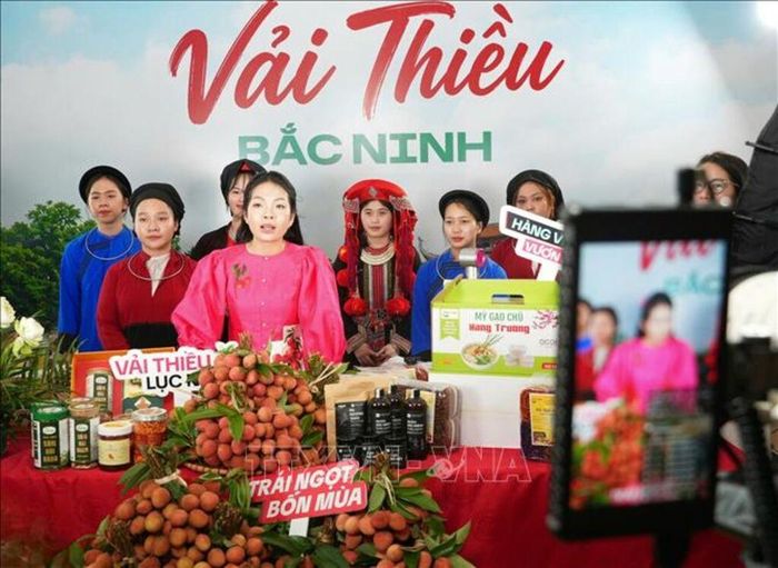 Ứng dụng thương mại điện tử và livestream góp phần đa dạng hóa kênh tiêu thụ vải thiều Bắc Ninh. Ảnh: Đồng Thúy/TTXVN