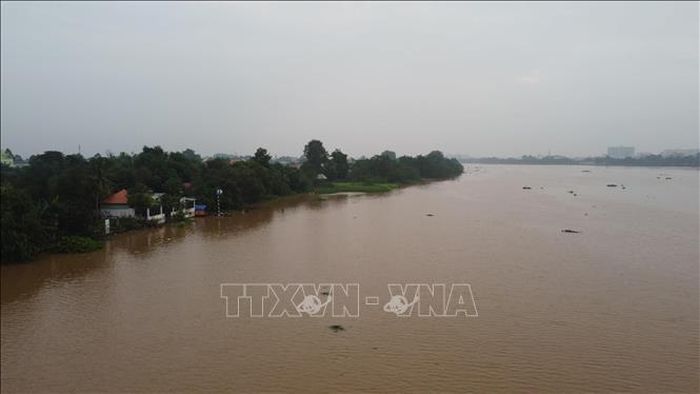 Mực nước sông Đồng Nai lên cao. Ảnh tư liệu: Sỹ Tuyên/TTXVN