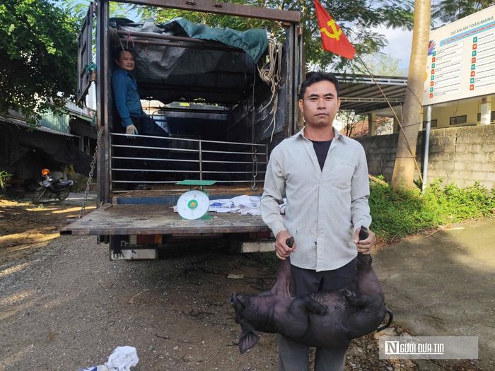 Những giống vật nuôi được trao cho người dân trong chương trình hỗ trợ sinh kế tại xã Tân Thành.