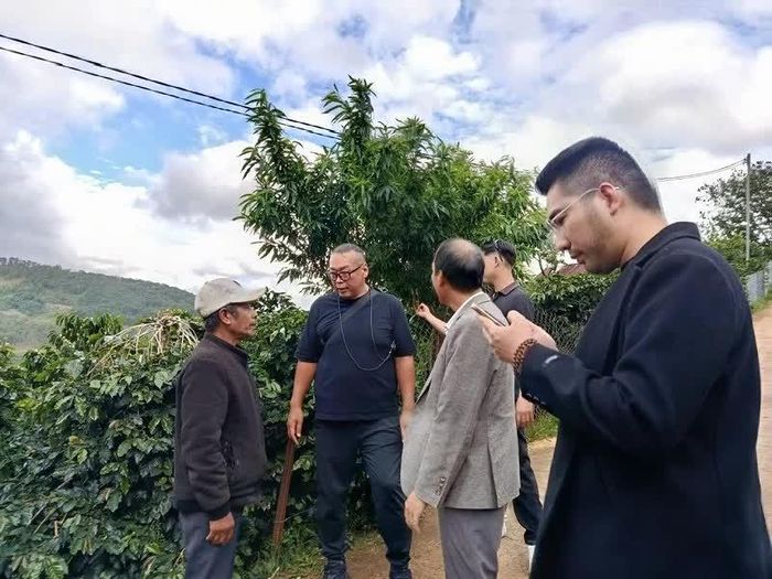 Khảo sát vùng nguyên liệu cà phê của doanh nghiệp.