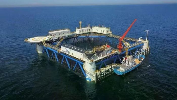 Giàn năng lượng mặt trời nổi làm bằng tre của CIMC Raffles ngoài khơi Yên Đài, Trung Quốc. Ảnh: CIMC.