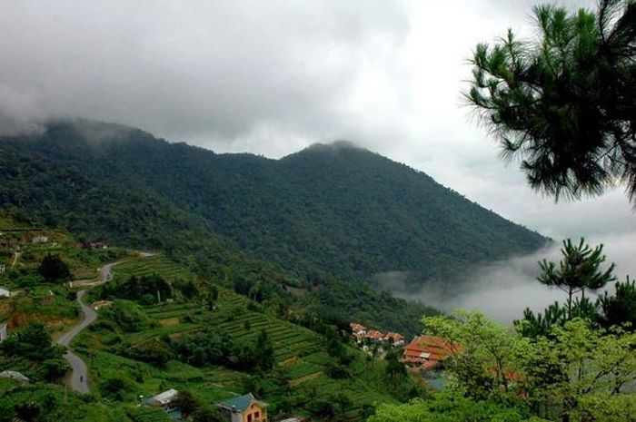 Vẻ đẹp của vườn quốc gia Tam Đảo. Ảnh: Sưu tầm