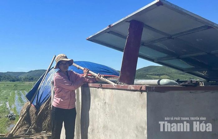 Bể ủ phụ phẩm nông nghiệp của người dân xã Thành Vinh.