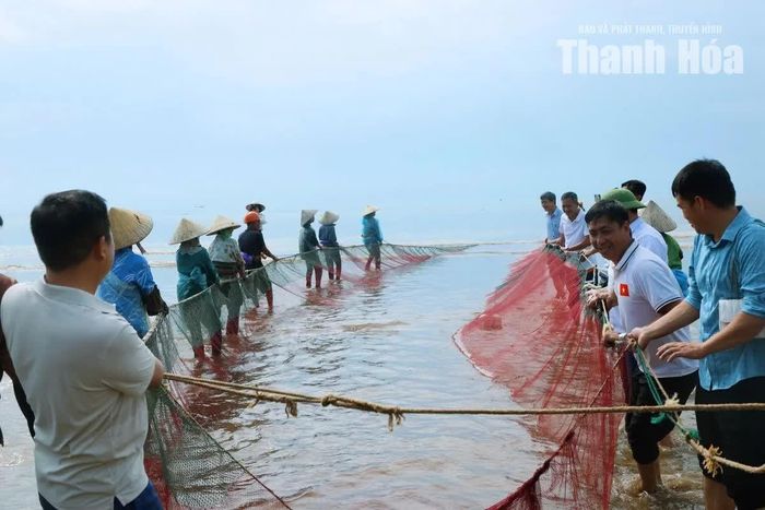 Hoạt động kéo rùng sáng 30/8 tại biển Hải Tiến thu hút đông đảo cán bộ, Nhân dân và du khách tham gia.