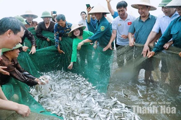 Người dân, du khách thích thú khi những mẻ cá được kéo vào bờ.