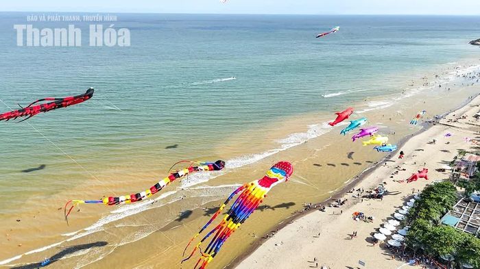 Màn trình diễn diều đầy màu sắc diễn ra ngay sau lễ khai mạc.