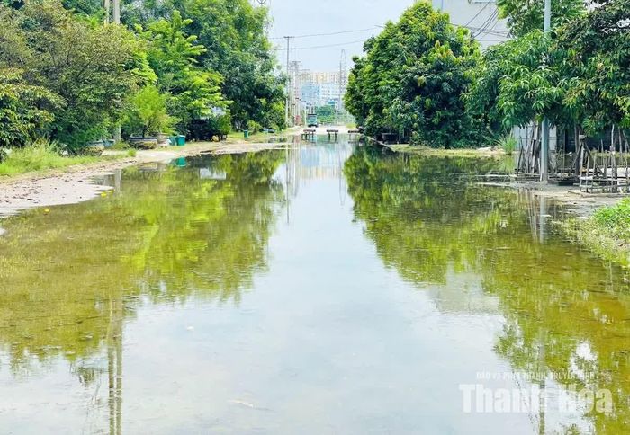 Theo người dân sinh sống tại đây, cứ mỗi khi mưa lớn là con đường lại ngập, và khi hết mưa nước rút rất chậm.