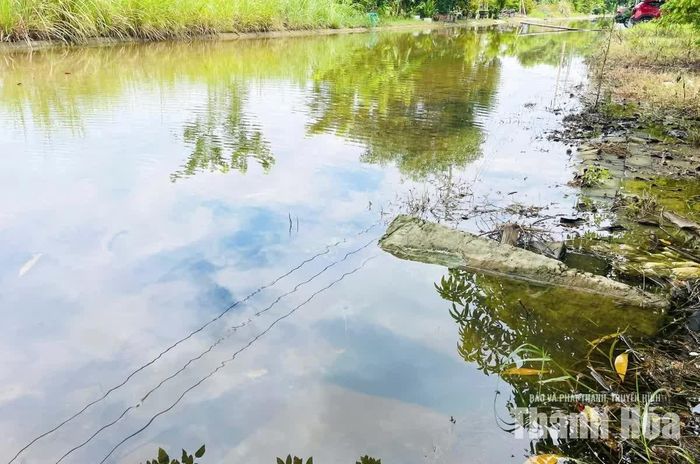 Trên tuyến đường, hệ thống thoát nước vẫn hiện hữu, nhưng khi nước dâng, dường như không phát huy tác dụng.