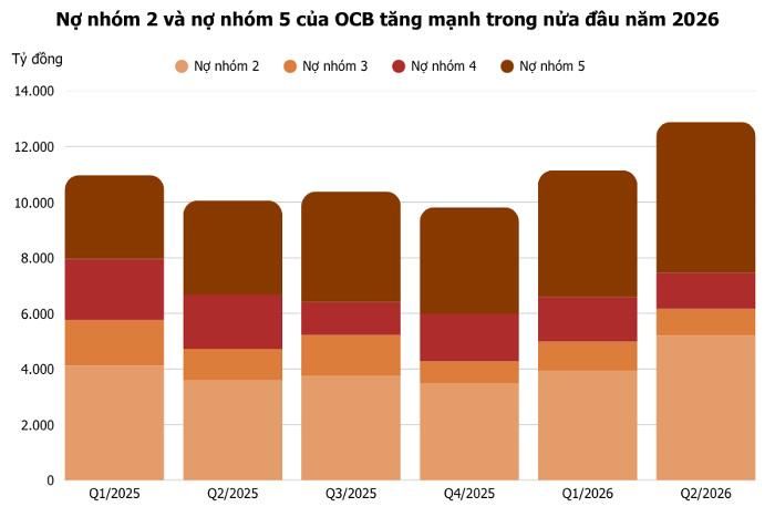 Ảnh: T.D tổng hợp từ BCTC