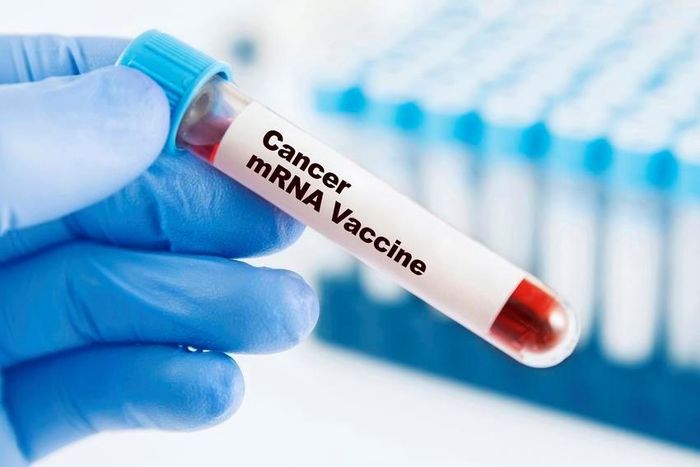 Vaccine ung thư mRNA cá thể hóa kích hoạt hệ miễn dịch nhận diện và tấn công tế bào ung thư. Ảnh minh họa: iStock/anilakkus.