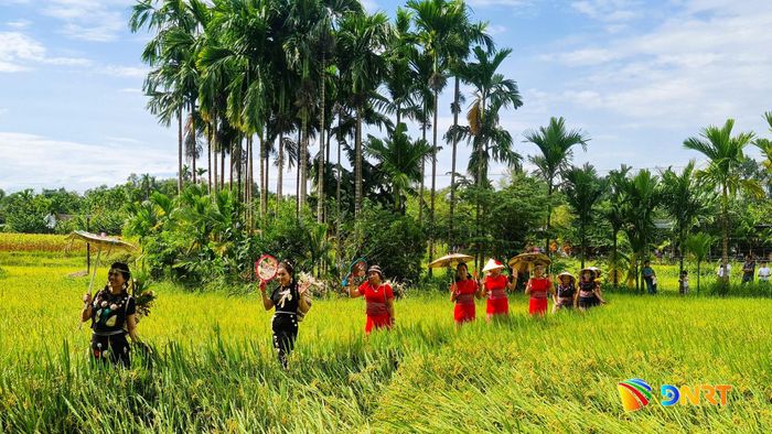 Phụ nữ xã Thạnh Bình trong trang phục truyền thống của người Co kết hợp các sản phẩm từ mo cau. Ảnh: DIỄM LỆ