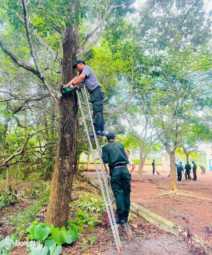 Cán bộ, chiến sĩ trung tâm hỗ trợ cắt tỉa cây xanh, làm vệ sinh giúp Trường tiểu học An Phước trước khi vào năm học mới. Ảnh: ĐVCC