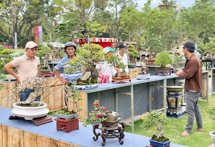  Người dân tham quan, thưởng lãm các tác phẩm tại Liên hoan, triển lãm sinh vật cảnh tỉnh Gia Lai mở rộng lần thứ II năm 2026. Ảnh: D.L 