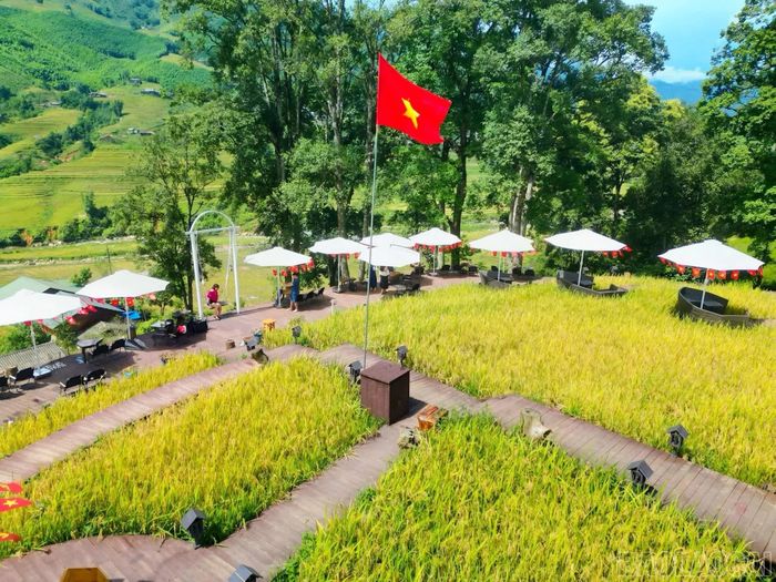 Cờ Tổ quốc tung bay rực rỡ, trở thành điểm nhấn nổi bật tại nhiều quán cà phê.