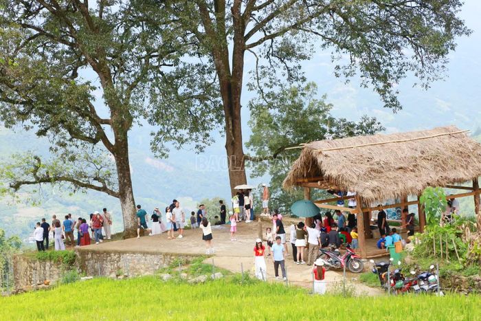 Khu vực công viên Choản Thèn - nơi có 2 cây cổ thụ có lượng khách đến tham quan rất đông, tạo nên khung cảnh nhộn nhịp, đông vui như ngày hội.