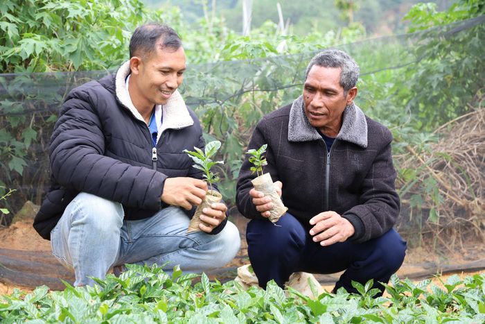 Anh Tou Prong Soly (bên trái), xã D'ran chia sẻ kỹ thuật trồng trọt cho người dân trên địa bàn