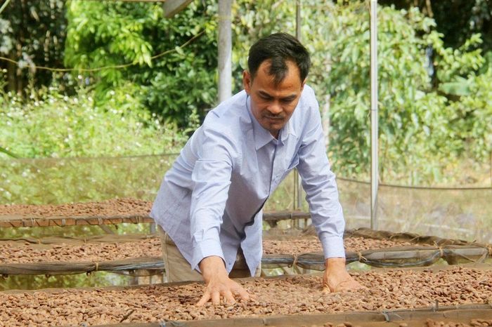 Sản phẩm ca cao của anh Vũ Văn Nghĩa được thị trường đánh giá có chất lượng tốt
