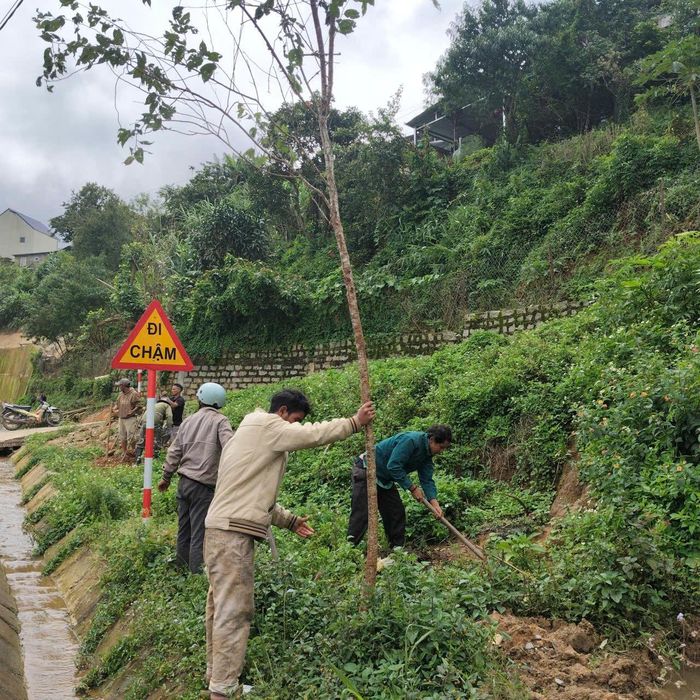 Nhân dân thôn Đưng K'nớ tham gia trồng mai anh đào