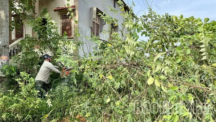 Xã Tam Dương Bắc huy động phương tiện, nhân lực để hỗ trợ người dân tháo dỡ công trình kiên cố.