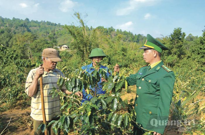 Bộ đội Biên phòng giúp người dân Lào cách trồng và chăm sóc cây cà phê - Ảnh: P.X.D