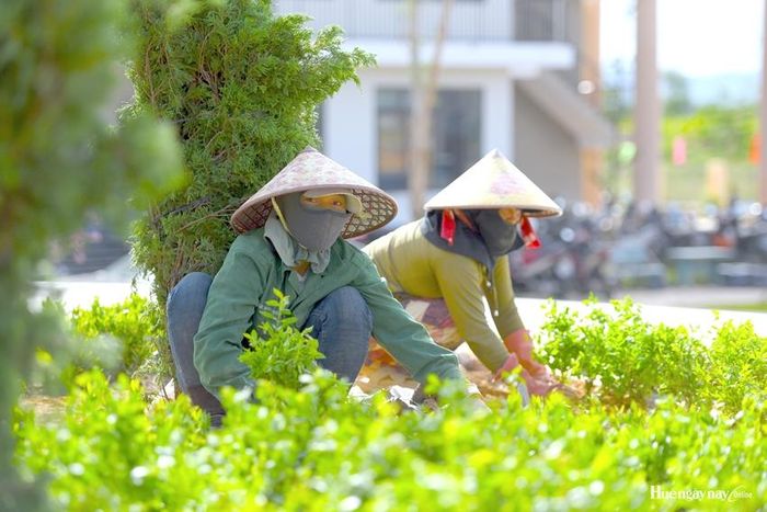 Dù trời nắng, song các công dân tranh thủ từng giờ để trồng cây cho kịp tiến độ.