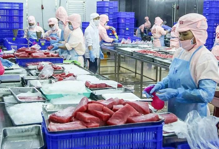 Minh bạch xuất xứ và nâng giá trị thực tạo ra tại Việt Nam là cách để doanh nghiệp giảm rủi ro trung chuyển. Ảnh: Đức Thanh