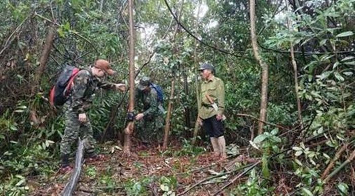 Tại Phong Nha - Kẻ Bàng, việc ứng dụng phần mềm Wildlife Insights để phân tích dữ liệu bẫy ảnh đã hỗ trợ công tác điều tra, giám sát đa dạng sinh học và xây dựng dữ liệu khoa học. 120 trạm bẫy ảnh đã ghi nhận 14.567 lượt phát hiện động vật, gồm 25 loài thú cỡ trung và lớn, 05 loài chim Trĩ, 04 loài đặc hữu Trường Sơn và 04 loài nguy cấp, quý, hiếm - Ảnh: VQG PN-KB.