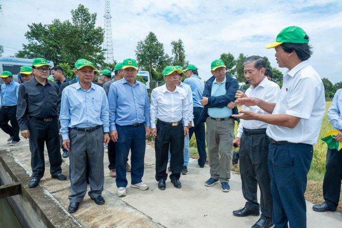 Đoàn Bộ Nông nghiệp, Lâm nghiệp và Thủy sản Campuchia tham quan, đánh giá thực tế ruộng lúa và trao đổi về hiệu quả các mô hình canh tác lúa thông minh tại Viện lúa ĐBSCL. Ảnh: BFC