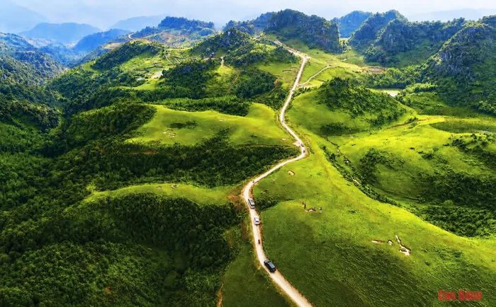 Đồi cỏ Phan Thanh thu hút du khách bằng vẻ đẹp nguyên sơ của thảo nguyên xanh.