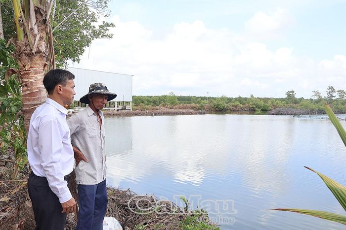 Cán bộ Khuyến nông, Trung tâm Công ích xã Năm Căn tham quan mô hình nuôi sò huyết của ông Trần Phụ Tính ở ấp Hàm Rồng.