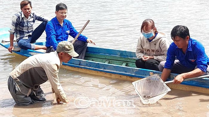 Anh Danh Văn Luận, ấp Chống Mỹ, xã Năm Căn (bìa phải), cùng gia đình thu hoạch sò huyết.