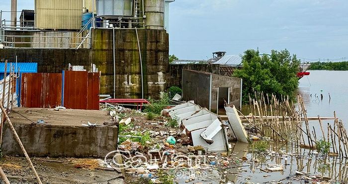 Một phần đoạn G6 thuộc dự án kè Gành Hào dự kiến được xây dựng tại vị trí bờ sông phía sau Công ty TNHH Xuất nhập khẩu Thuỷ sản Vietnam Golden Shrimp (ấp Canh Điền, xã Gành Hào).