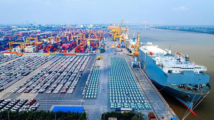 Chi nhánh Cảng Tân Vũ - Hải Phòng. Ảnh: haiphongport.com.vn